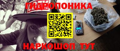 индика Пушкино