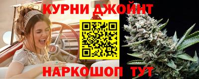 PSILOCYBIN Пугачёв