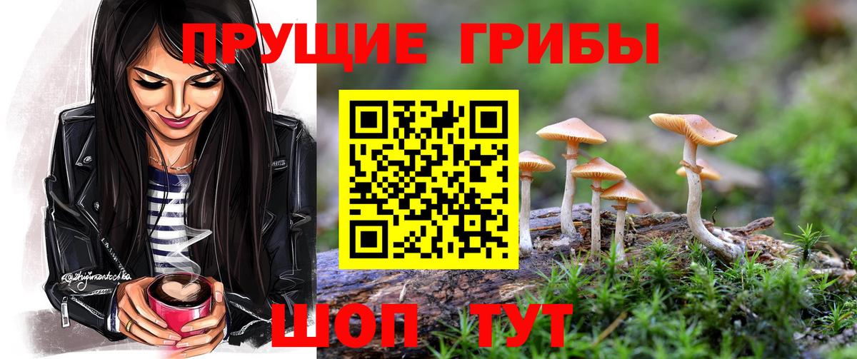 Галлюциногенные грибы прущие грибы  Псилоцибиновые грибы Psilocybe  Россия  Вход с VPN 